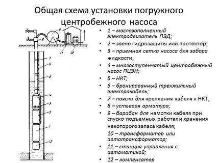 Эцн
