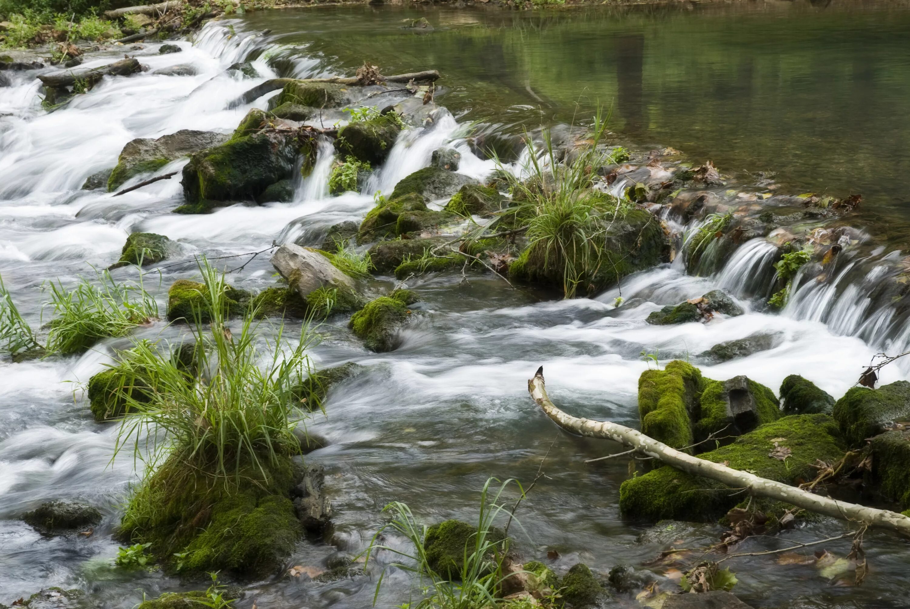 Usually in the river