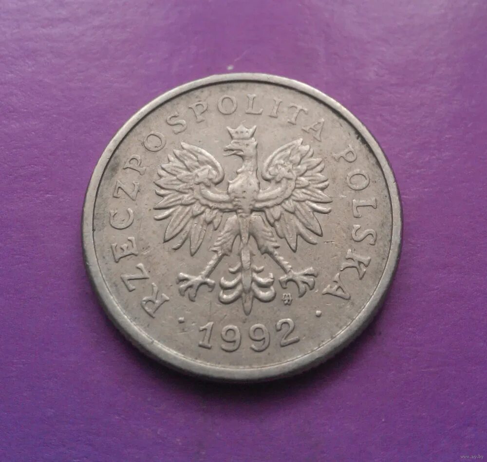 беларуский злотый