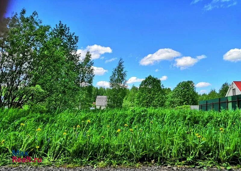 Деревня бедняково. Можайский р он поселок уваровка погода noltrexsin. Можайский р он поселок уваровка погода noltrexsin. Деревня корытово можайского. Уваровка можайского района.