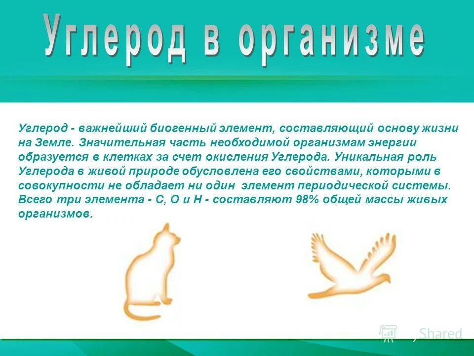 Какую роль играет углерод. Роль углерода в жизни клетки. Какую роль играет углерод. Роль углерода в живых организмах. Биологическая роль углерода.