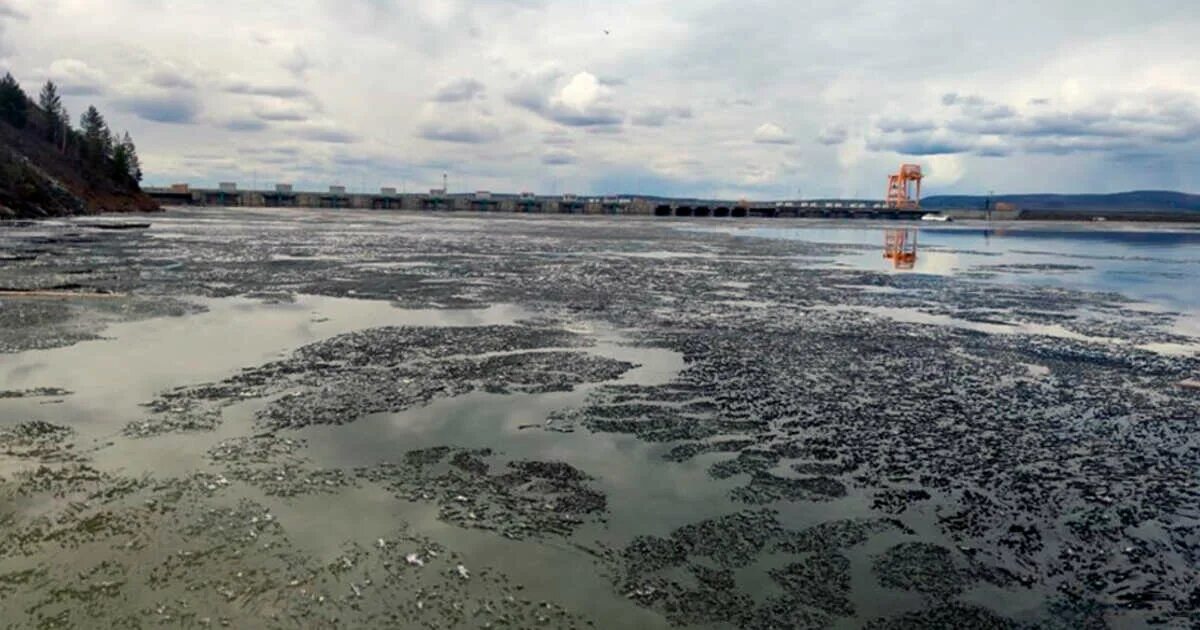 Загрязнение водохранилища. Загрязнение водохранилищ. Богучанское водохранилище. Загрязнение ангары. Водохранилище у Экспофорума.