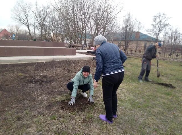 Хутор меркуловский школа. Какая погода сегодня в меркуловском. Хутор меркуловский. Какая погода сегодня в меркуловском. Меркуловский вешенская.
