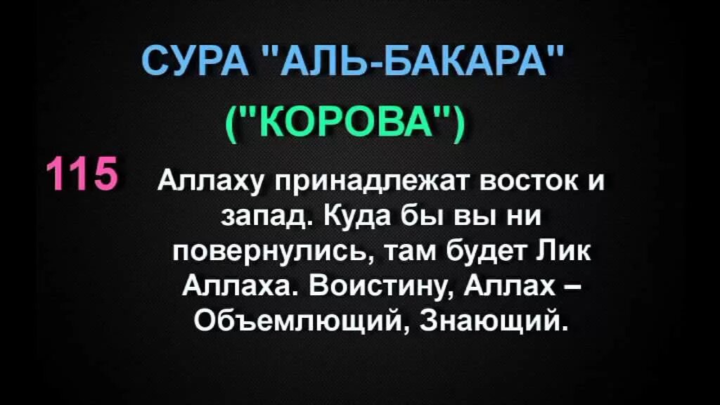 Слушать бакара сура корана. Корана Сура Аль Бакара 202. 115 Сура Корана. Сура корова. Сура 2 аят 115.