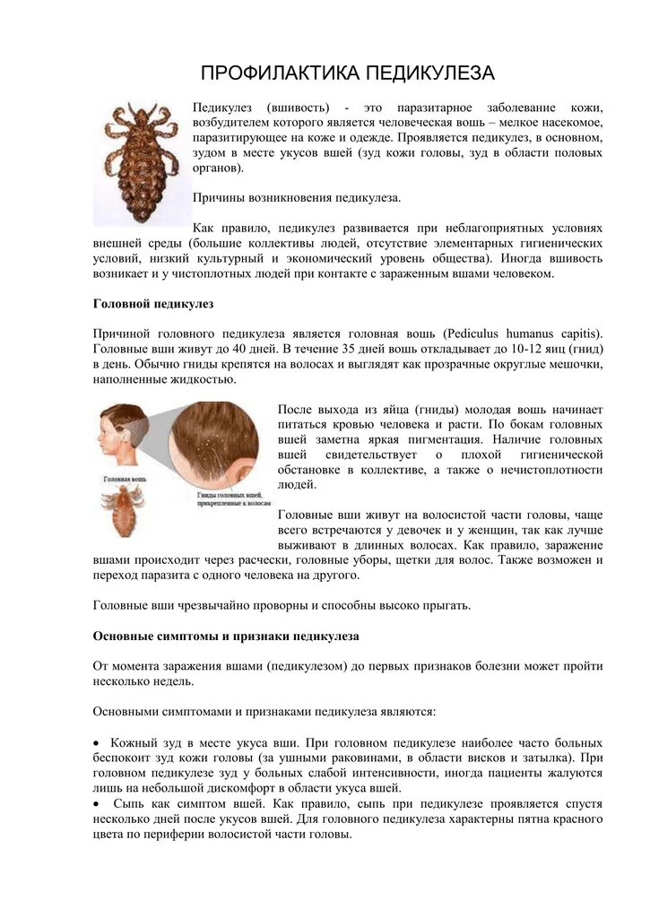Вши текст