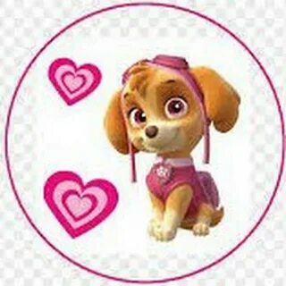 Skye paw