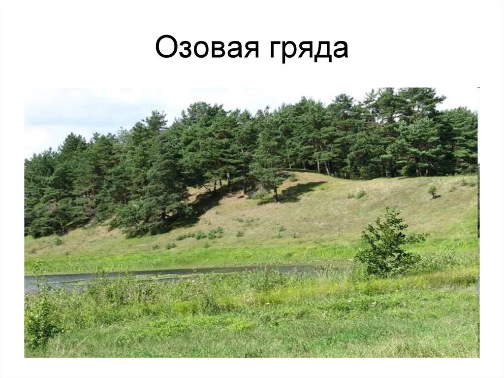 Греда или грида. Археологические памятники нашей страны мергелевая гряда. Гряды форма рельефа. Гора пембой воркута. Мергелева гряда пирамиды.
