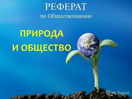 Реферат общество и природа