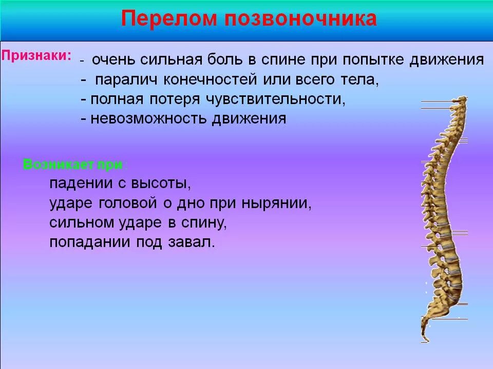 Два отдела позвоночника характерны для. Признаки закрытого перелома позвоночника. К признакам перелома позвоночника относятся. Симптомы сломанного позвоночника. Симптомы при переломе позвоночника.