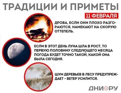 Приметы на 11 ноября 2023