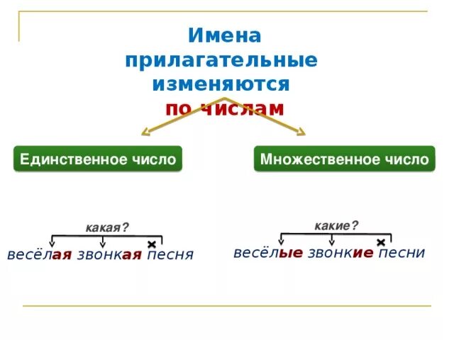 Изменение имен прилагательных по родам во множественном числе. Имена прилагательные изменяются по числам. Изменение имен прилагательных по числам 3 класс. Имя прилагательное изменяется по числам. Краткие имена прилагательные изменяются по числам