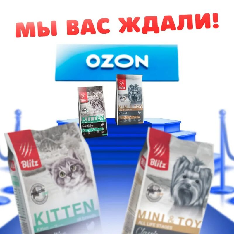 озон блиц. Ozon логотип. сертификат озон. корм блиц для собак крупных пород. озон.