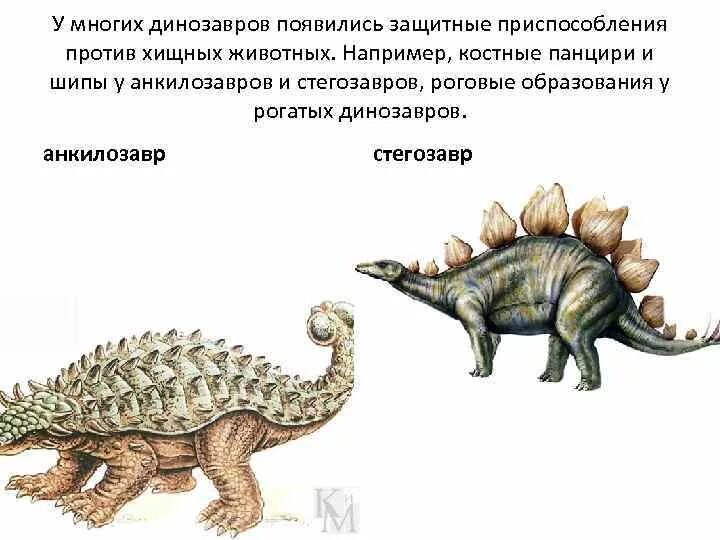 Идиоадаптация пресмыкающихся. Виды стегозавров. Идиоадаптации пресмыкающихся. Динозавр с панцирем. Динозавр с шипами название.