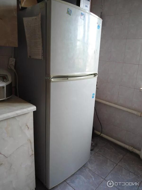 Rb31ferncef холодильник самсунг. Холодильник samsung rl33. Холодильник samsung rl 44. Холодильнике самсунг rt30. Samsung xaladenik.