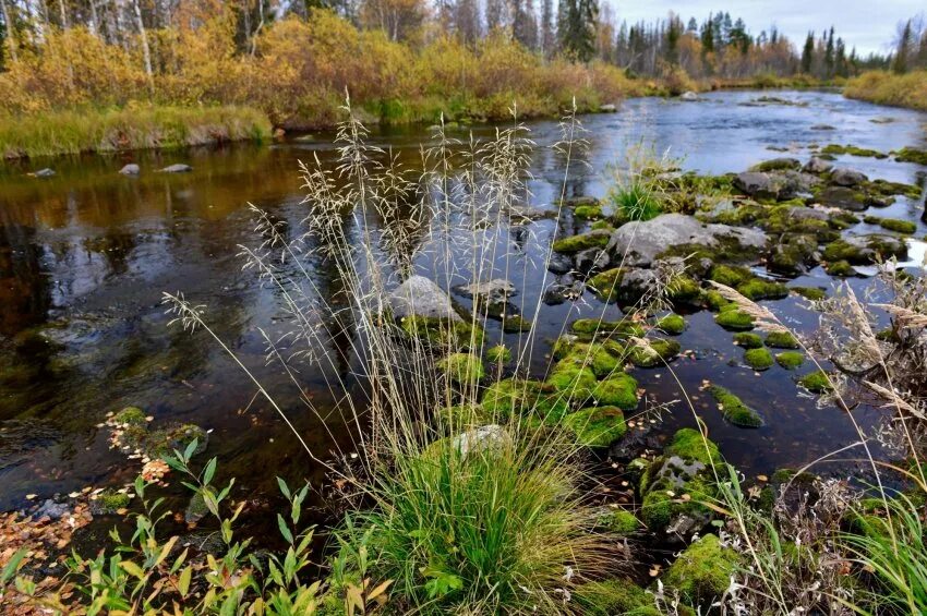 Погода в оленегорске на 3. Река письем. Оленегорск природа. Оленегорск река. Природа Оленегорска фото.