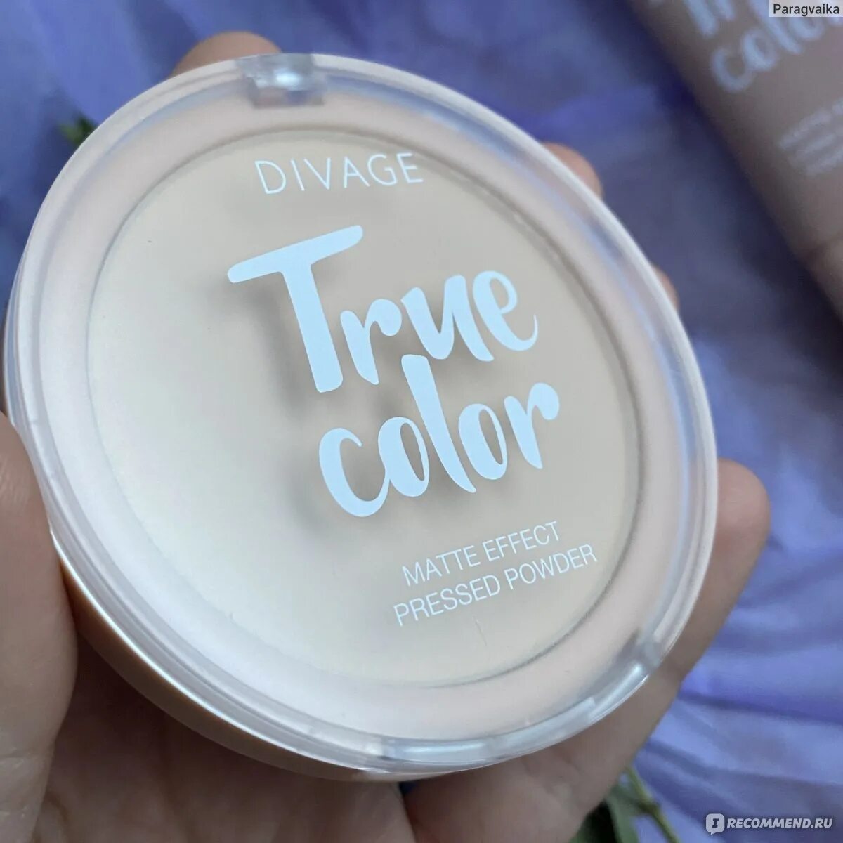 Пудра divage true color