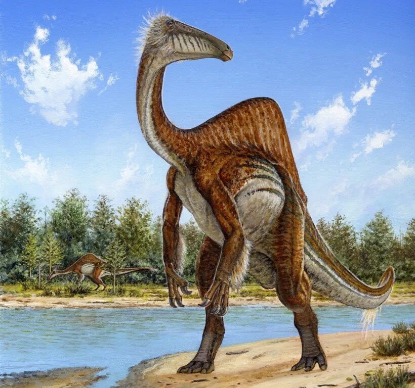 Как сами выглядели динозавры TOP 5 Real Dinosaur Sightings Caught On Camera / avistamientos captado p... Mamm