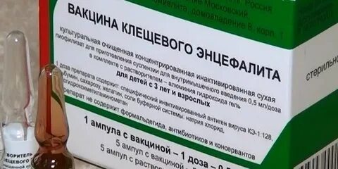Прививка от клещевого энцефалита можно ли мыться