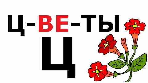 Цвет слог