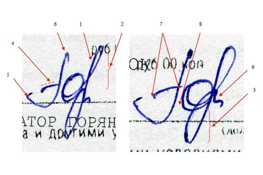 Объекты почерковедческой экспертизы. Экспертиза подписи. Почерковедческая экспертиза. Заключение эксперта по подписи. Экспертиза подписи.