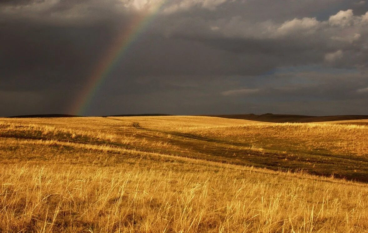 лето степь калмыкия. степи акмолинской области. степь волжская саратовская область. степь руками. самарская обл степной ландшафт.