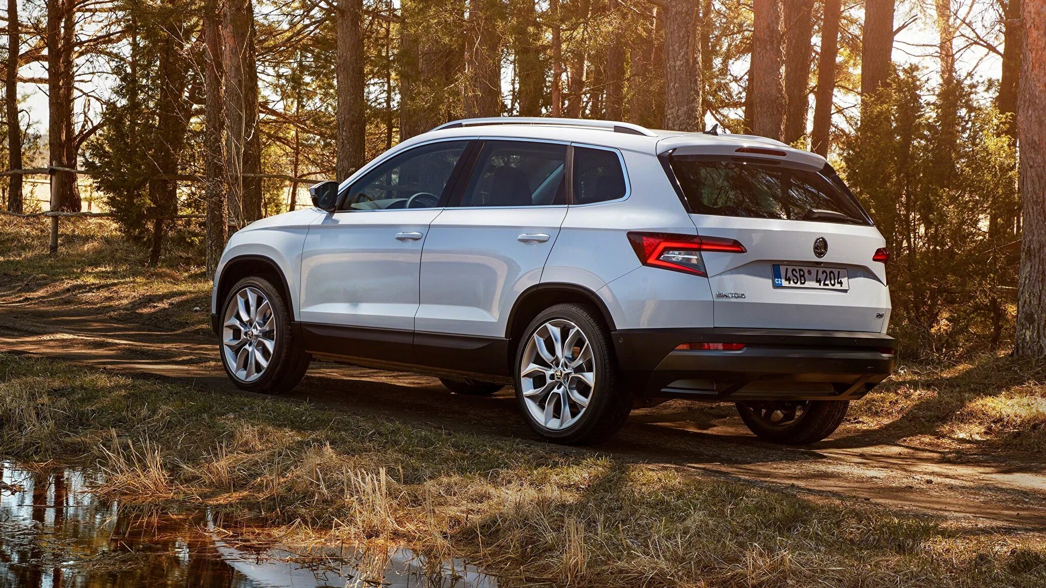 Karoq. Кроссовер skoda karoq. шкода карок 2018. skoda karoq белый. skoda karoq 2025.