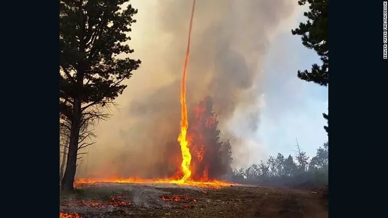 Где пожар живет. Огненный Торнадо. Огненный шторм природное явление. Огненный смерч явления природы. Огненный Торнадо в Калифорнии.