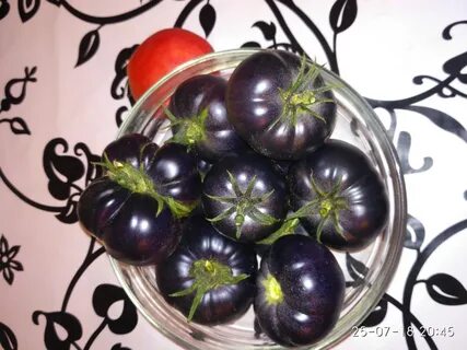 Томат каштановый шоколад