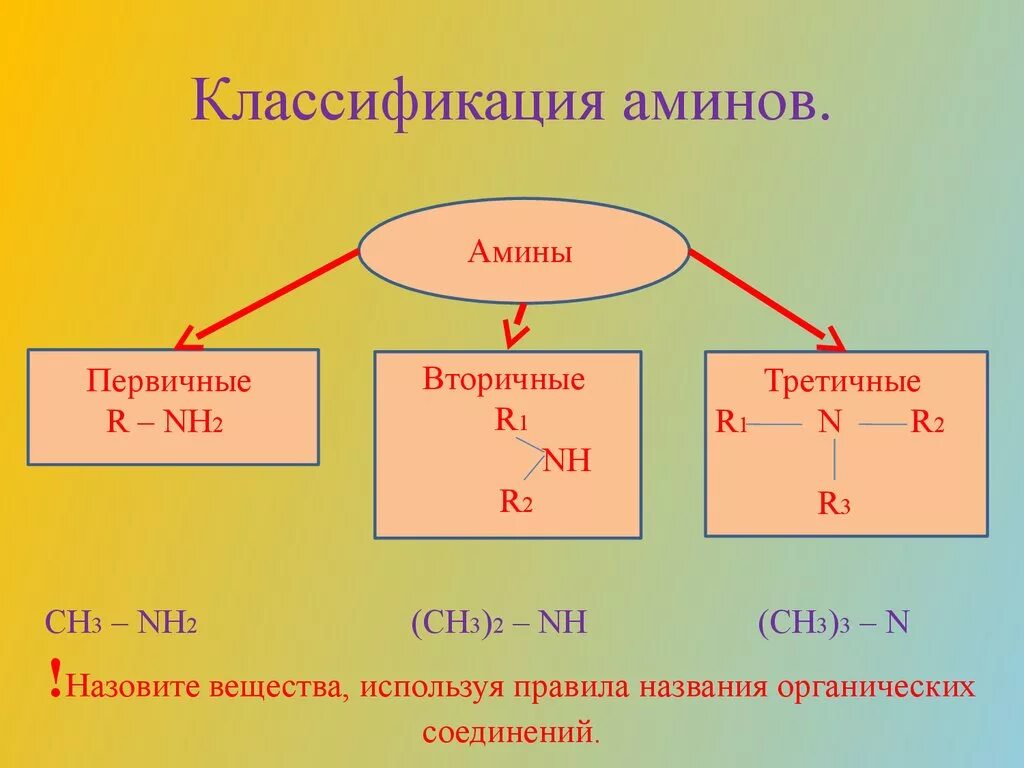 Амины являются соединениями