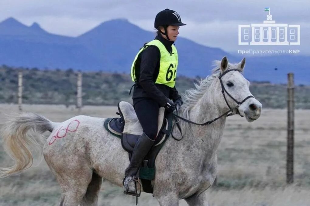 День лошади. Пробеги кбр. Кабардино балкария конный туризм. Конный пробег в кбр скфо16092022. Авария москва крым 17.