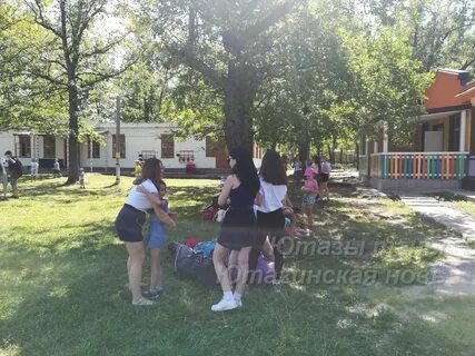 Дубравушка пионерский пр 29 отзывы