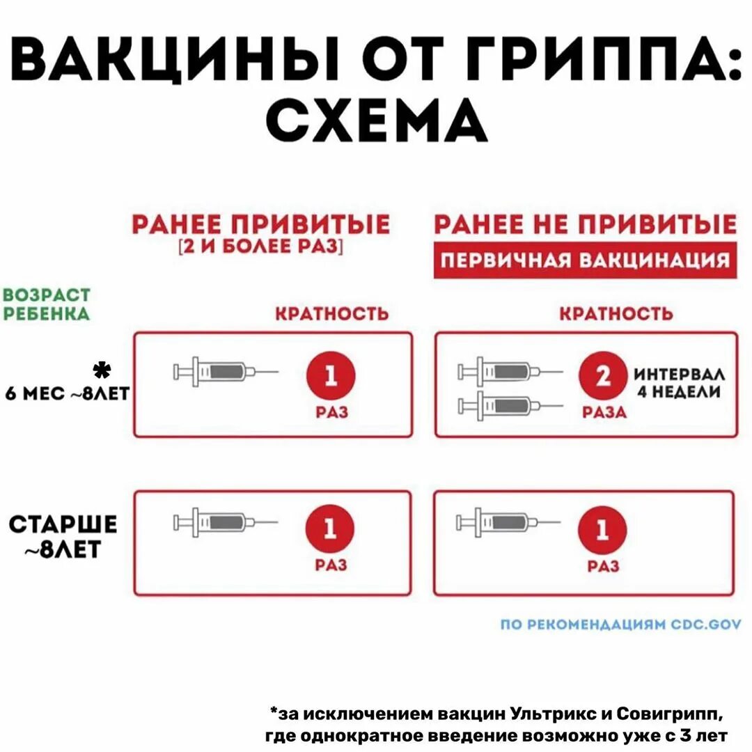 Прививка от гриппа какие. Вакцина от гриппа. Схема вакцинации. Антигены в вакцине от гриппа. 4 Валентная вакцина от гриппа.