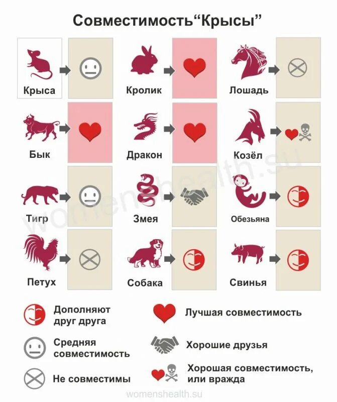 Дева крыса совместимость. Совместимость крысы. год крысы совместимость. крысы совместимость по гороскопу. совместимость крысы и крысы.