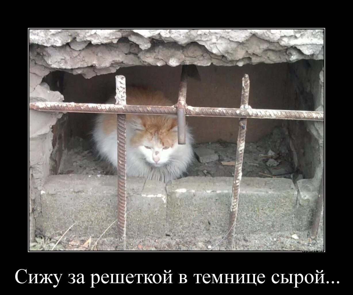 Сижу под решеткой. Сижу за решеткой. сижу за решеткой в темнице. сижу за решёткой в темни. сижу за темницей в темнице сырой.