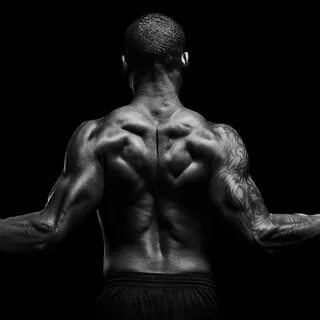 Black back