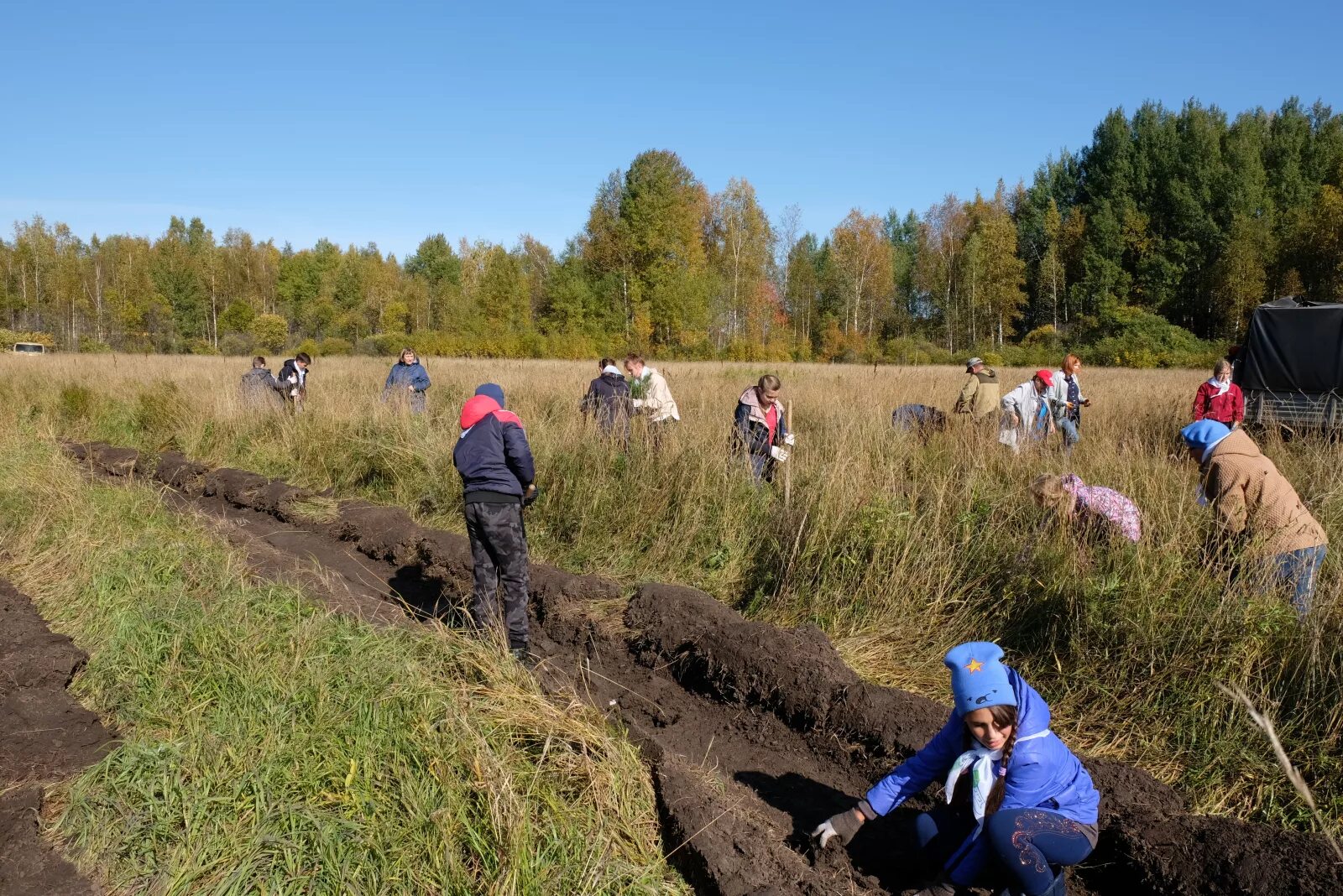 Погода в плотниково бакчарский. Плотниково Бакчарский район. Томский район Бакчар. Бакчар Кедровый. Лес Победы Зарайский район.