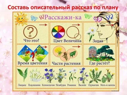 Расскажи тоне