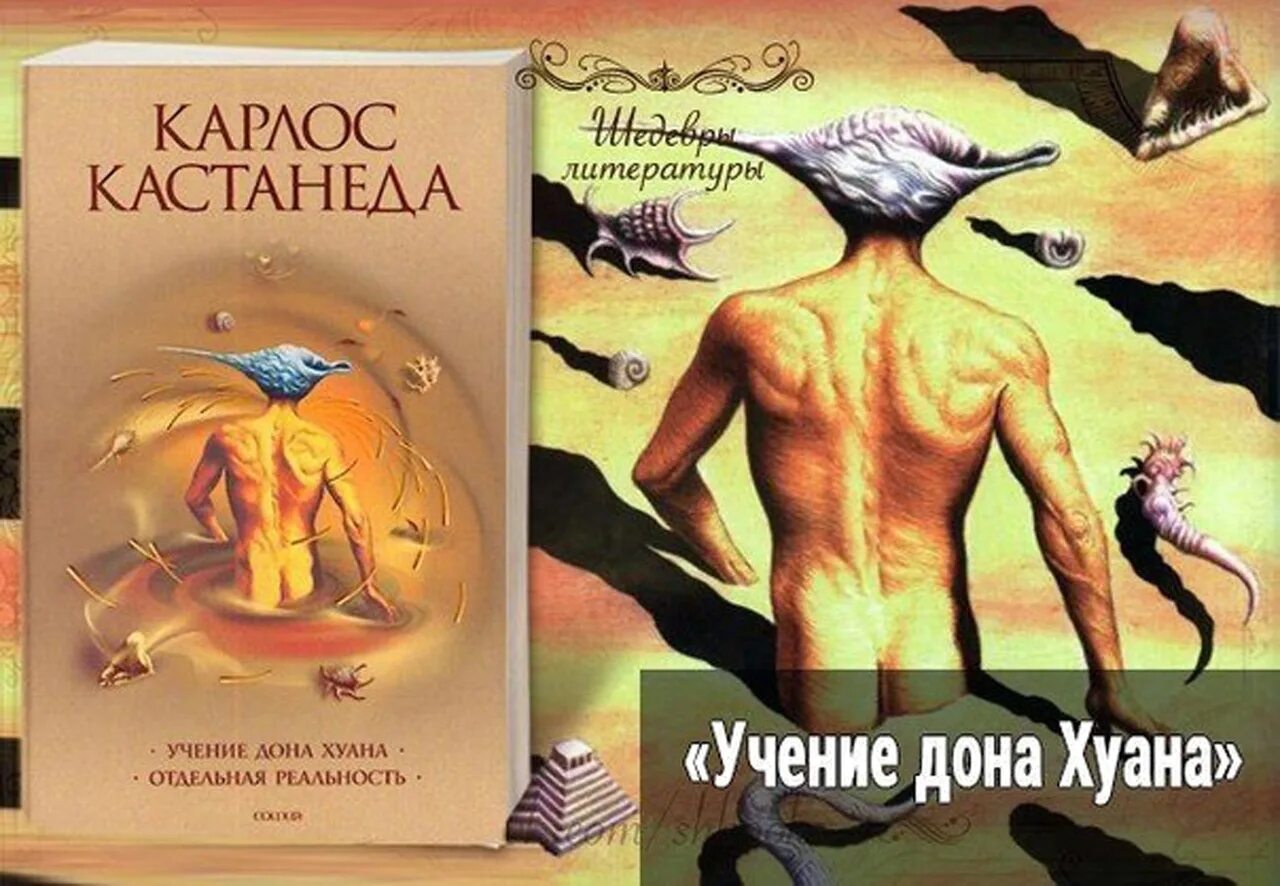 Книга Дон Хуан Кастанеда Карлос. Учение Дона Хуана: путь знания индейцев яки Карлос Кастанеда книга. Карлос Кастанеда путь воина Дон Хуан. Кастанеда учение Дона Хуана отдельная реальность. Книга отдельная реальность