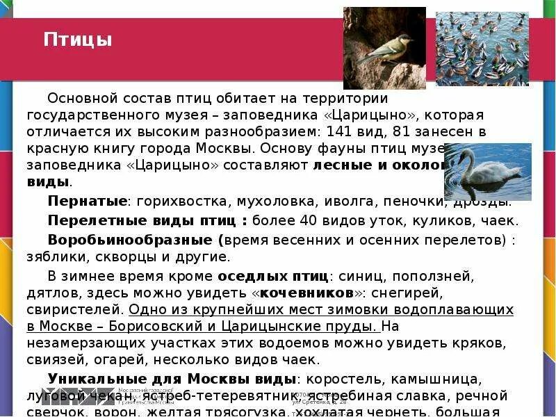 Преудивительная у нас водится птичка основная мысль. Состав птицы. Волжская птичка состав.