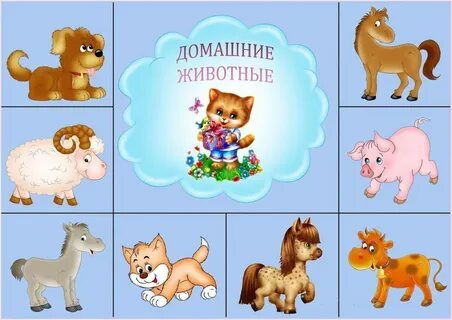 Домашними животными ясельной группы конспект