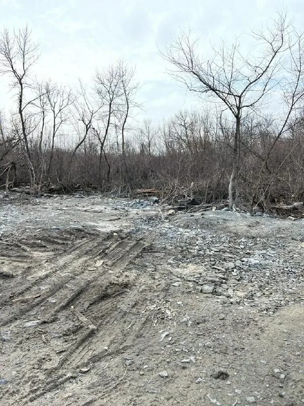 диагнозы для армии. река вязь. пульс дона телеграмм канал. исламский мох централия в камбарском районе удмуртии где растет.