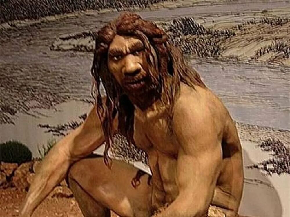 This Neanderthal woman (above) was found in Gibraltar but we know there would ha