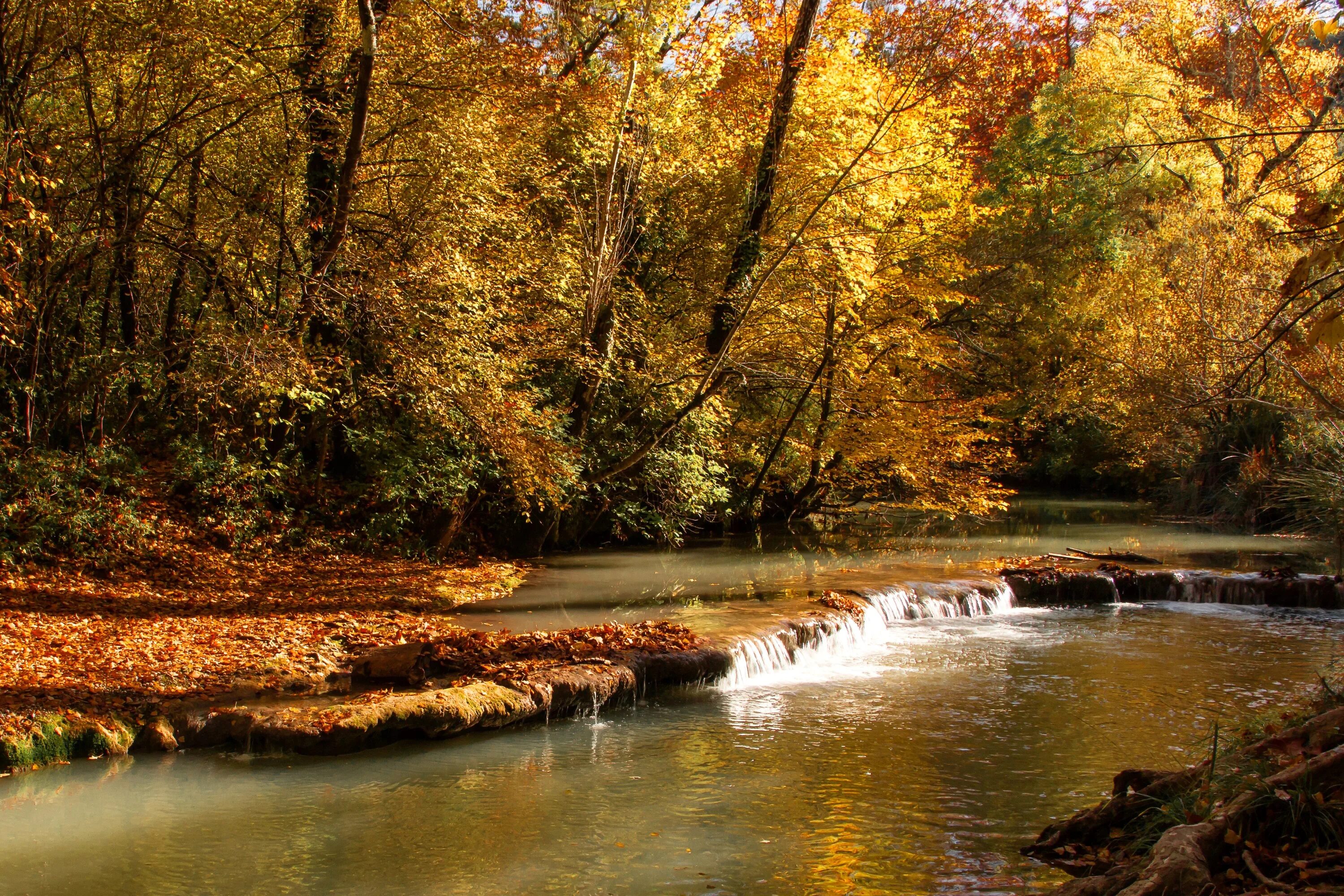 Ручей осенью. Природа осень. Осень река. Осень лес река. Осенняя река.
