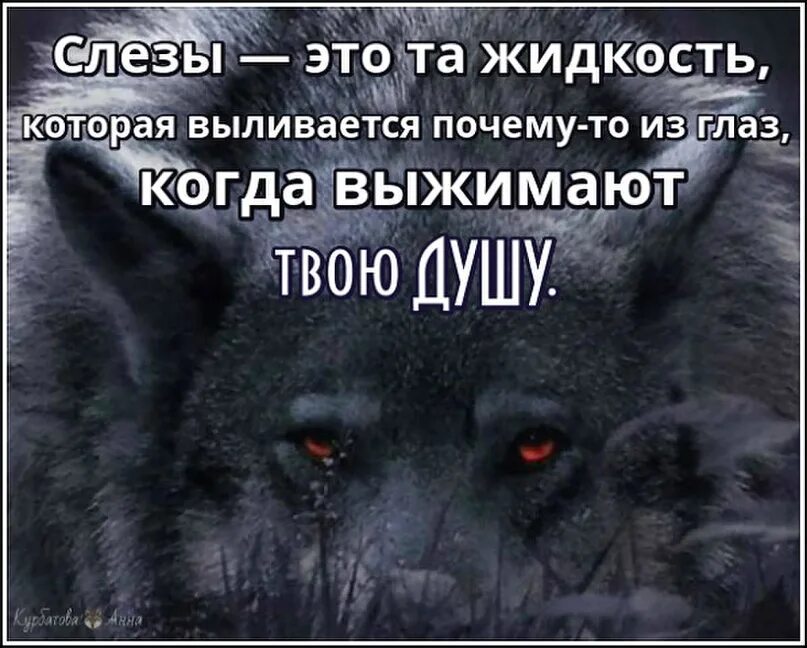 Фразы волка. Фразы Волков. Цитаты волка. Высказывания о волках. Если б жили все в одиночку