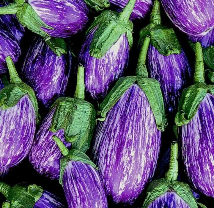 Баклажан феньюэн пурпурный (Fengyuan Purple). Баклажан Tsakoniki. Aubergine Eggplant. Баклажан полосатый. Цветные баклажаны