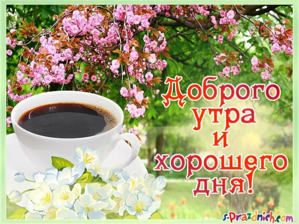 Картинка доброе апрельское утро и хорошего настроения. Открытка с добрым утром хорошего дня. дрброго утро и хорошего дня. лоброго утра и хорошего настроее. доброго утра хорошкгодня.