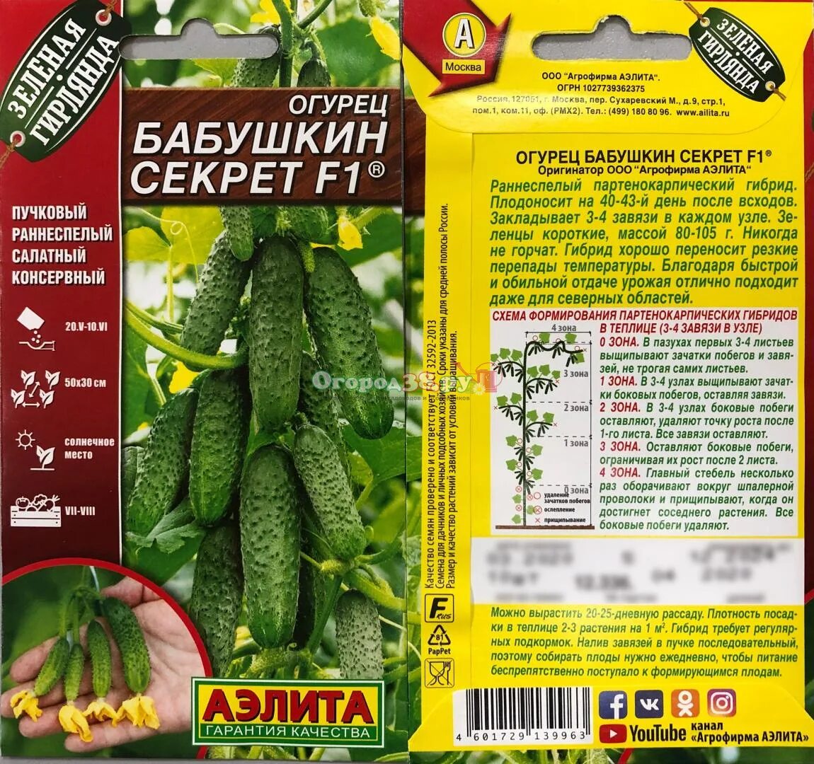 Огурец секрет описание фото