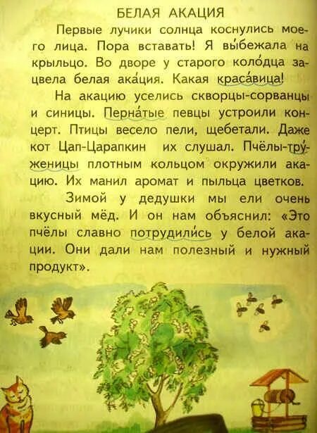 Солнце сказка 2 класс. Сказка о солнечном луче. белая акация стихи. стихи про акацию. паспорт растения акация.