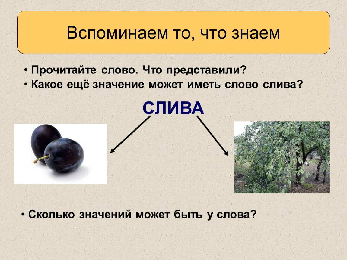 Значение слова насколько. Сколько значений у слова. Сколько значений может быть у слова. Что означает слово слива. Сколько значений имеет слово.