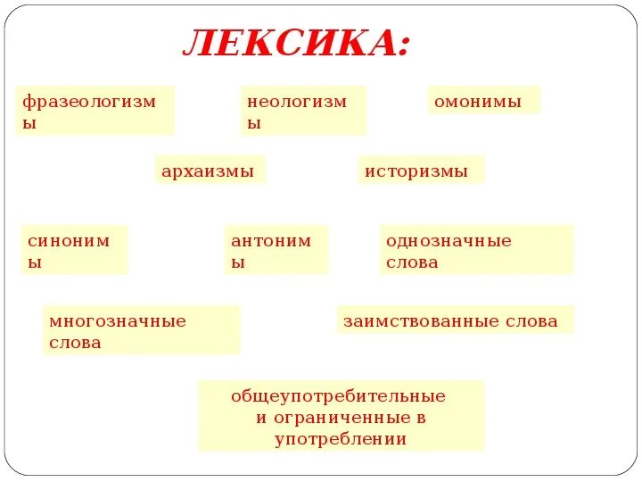 Лексика. Лексика и фразеология. Лексикология и фразеология. Лексика и фразеологизмы.